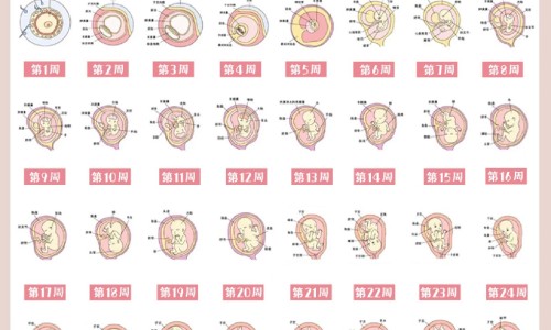 发热出汗后头疼怕冷吃什么药-权威发烧出了一身汗之后依然头疼平台,分享专业发热出汗后头疼怕冷怎么办知识_发热出汗后头疼怕冷网